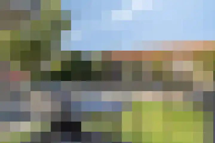 Boezemweg 165 L Rotterdam thumbnail 11