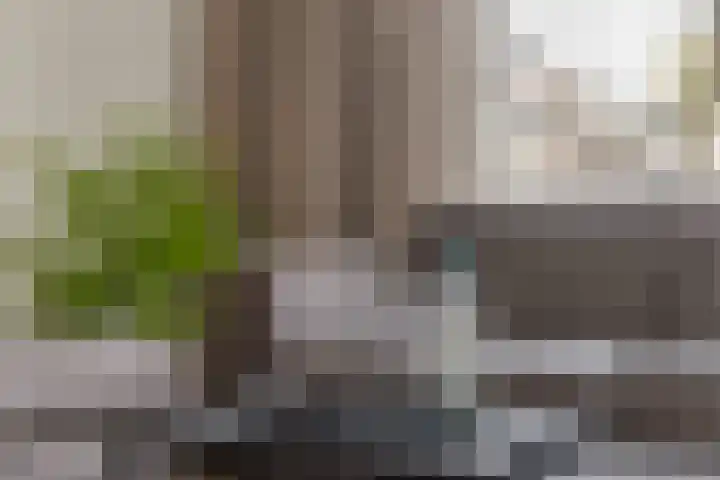 Boezemweg 165 R Rotterdam thumbnail 21