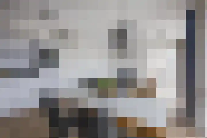 Boezemweg 169 A Rotterdam thumbnail 9