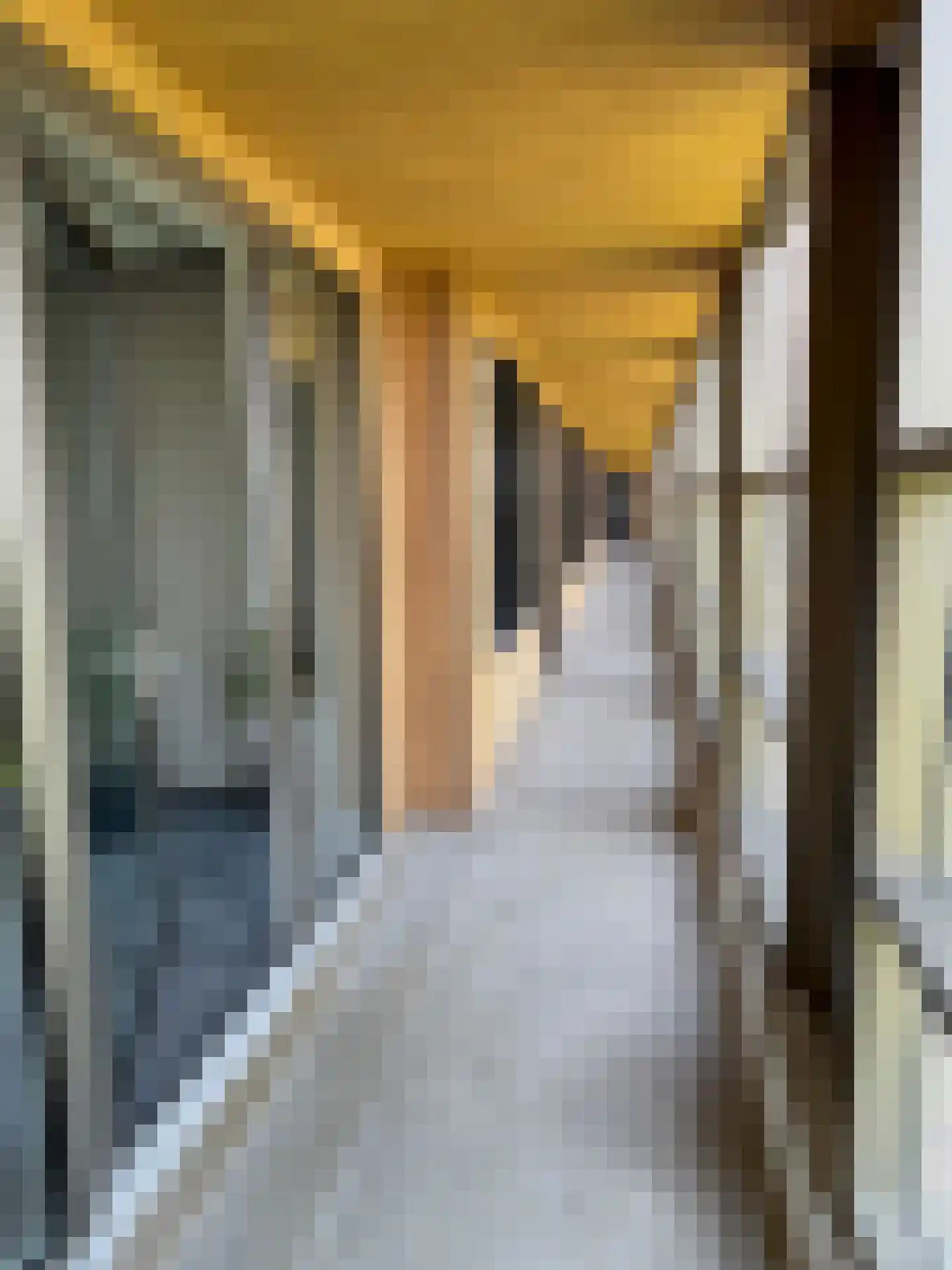 Boezemweg 171 B Rotterdam thumbnail 9