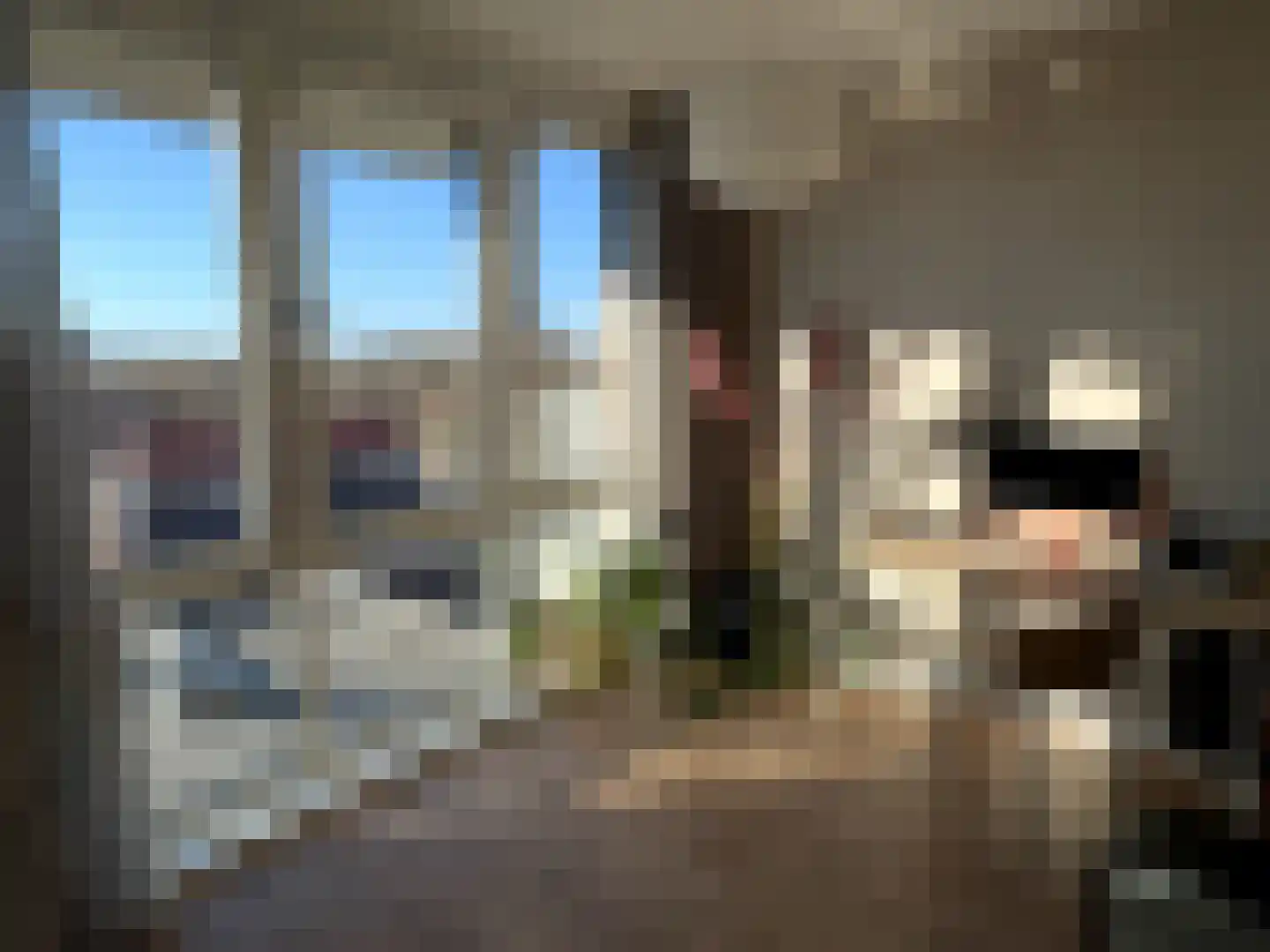Boezemweg 171 G Rotterdam thumbnail 6