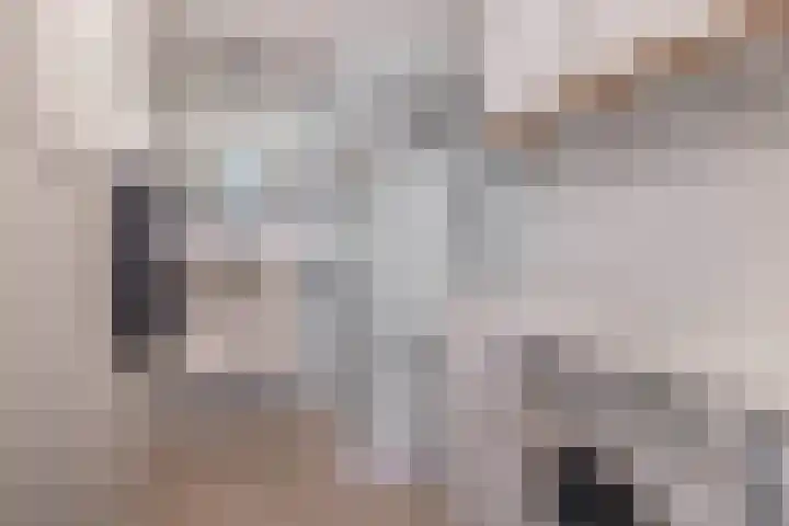 Boezemweg 23 Waddinxveen thumbnail 13