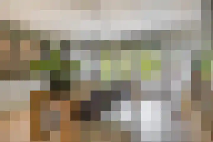 Boezemweg 23 Waddinxveen thumbnail 15