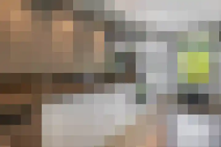 Boezemweg 23 Waddinxveen thumbnail 18