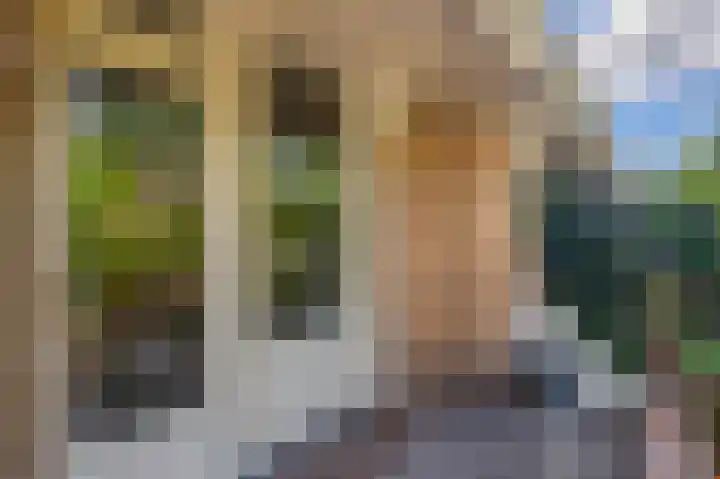 Boezemweg 23 Waddinxveen thumbnail 19