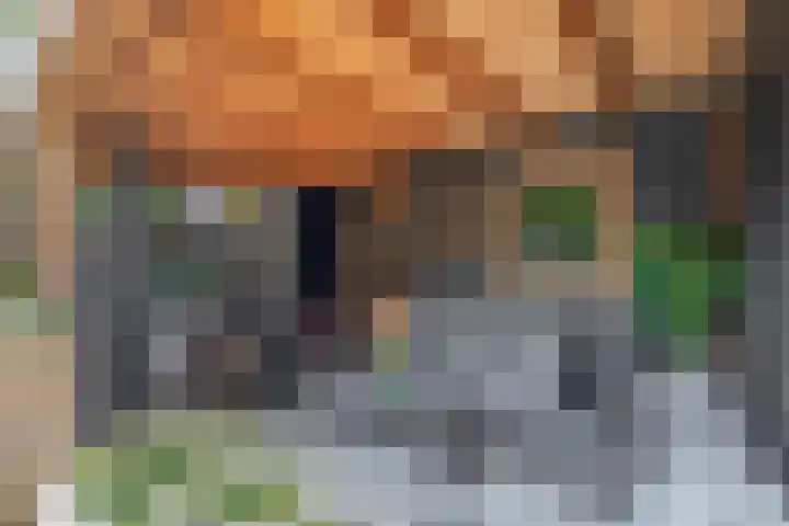 Boezemweg 23 Waddinxveen thumbnail 21