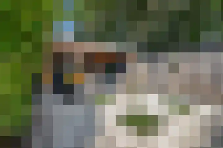 Boezemweg 23 Waddinxveen thumbnail 23