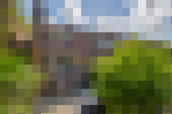 Boezemweg 23 Waddinxveen thumbnail 24