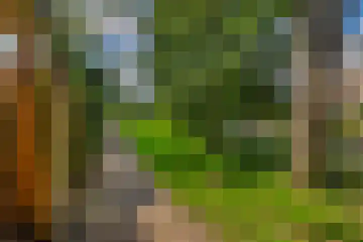 Boezemweg 23 Waddinxveen thumbnail 26