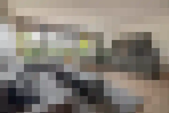 Boezemweg 23 Waddinxveen thumbnail 27