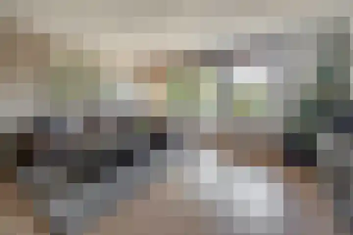 Boezemweg 23 Waddinxveen thumbnail 28