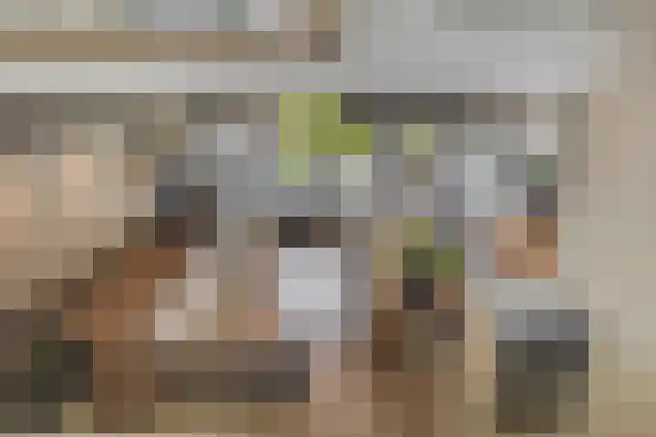 Boezemweg 23 Waddinxveen thumbnail 29