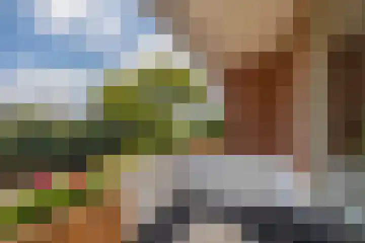 Boezemweg 23 Waddinxveen thumbnail 30
