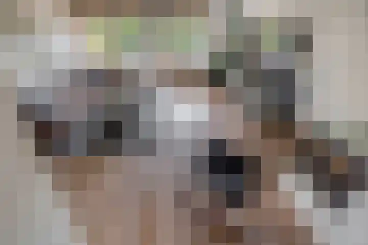 Boezemweg 23 Waddinxveen thumbnail 33