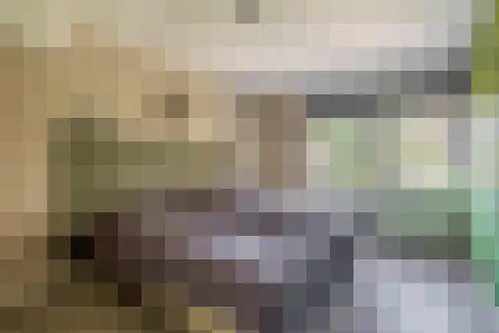 Boezemweg 23 Waddinxveen thumbnail 35