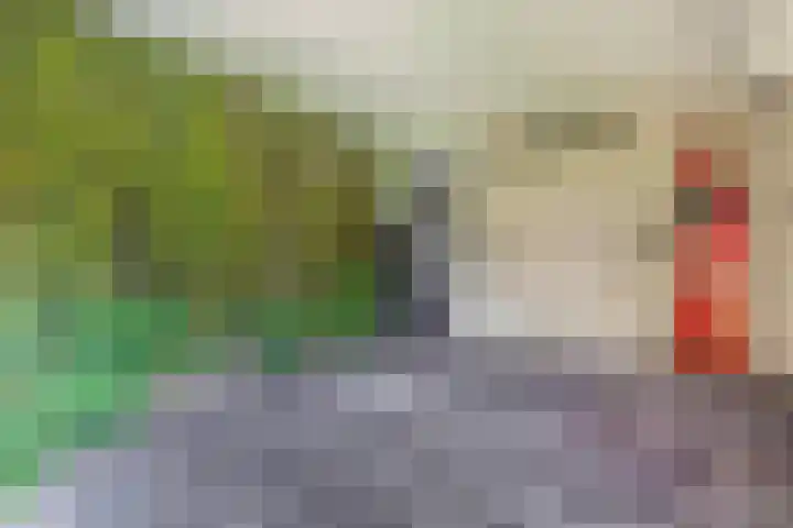 Boezemweg 23 Waddinxveen thumbnail 36