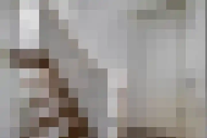Boezemweg 23 Waddinxveen thumbnail 37
