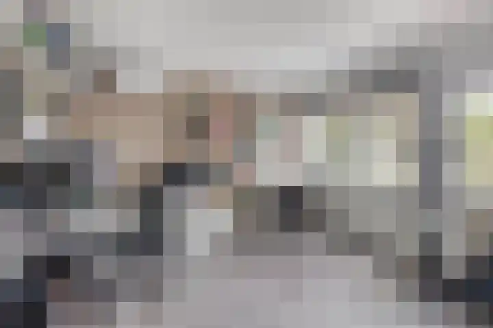 Boezemweg 23 Waddinxveen thumbnail 39