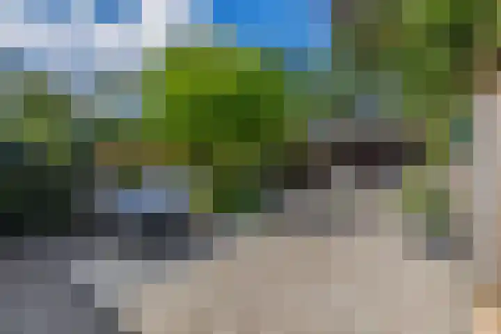 Boezemweg 23 Waddinxveen thumbnail 4