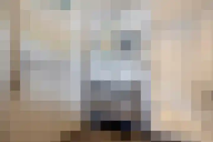 Boezemweg 23 Waddinxveen thumbnail 43