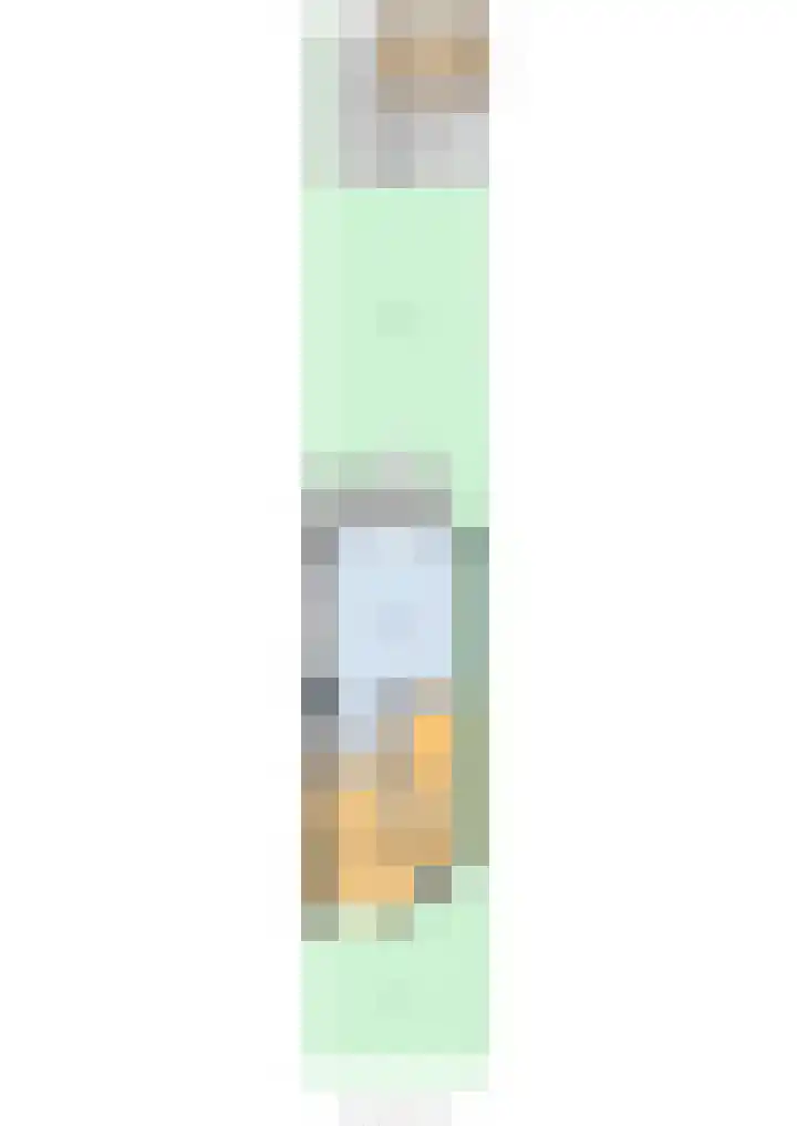 Boezemweg 23 Waddinxveen thumbnail 50