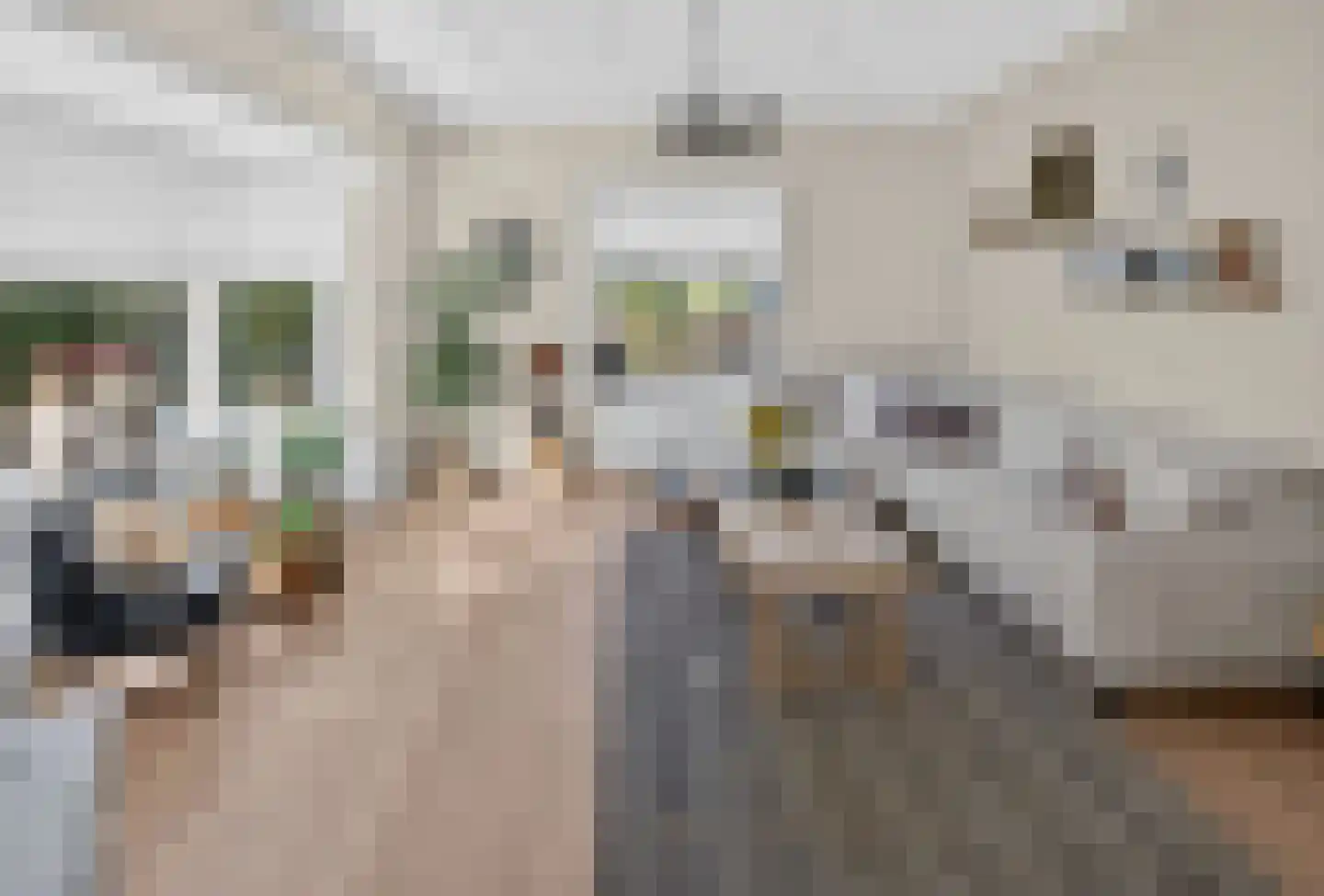 Boezemweg 4 Dirksland thumbnail 10