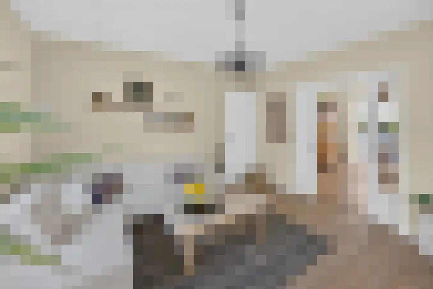Boezemweg 4 Dirksland thumbnail 12