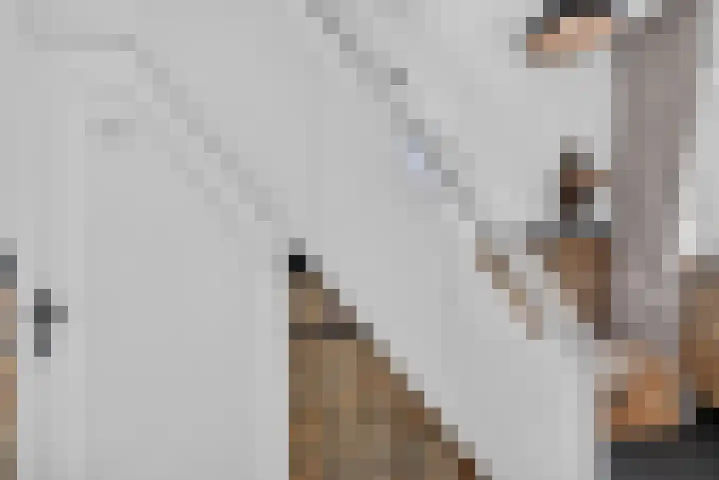 Boezemweg 4 Dirksland thumbnail 14