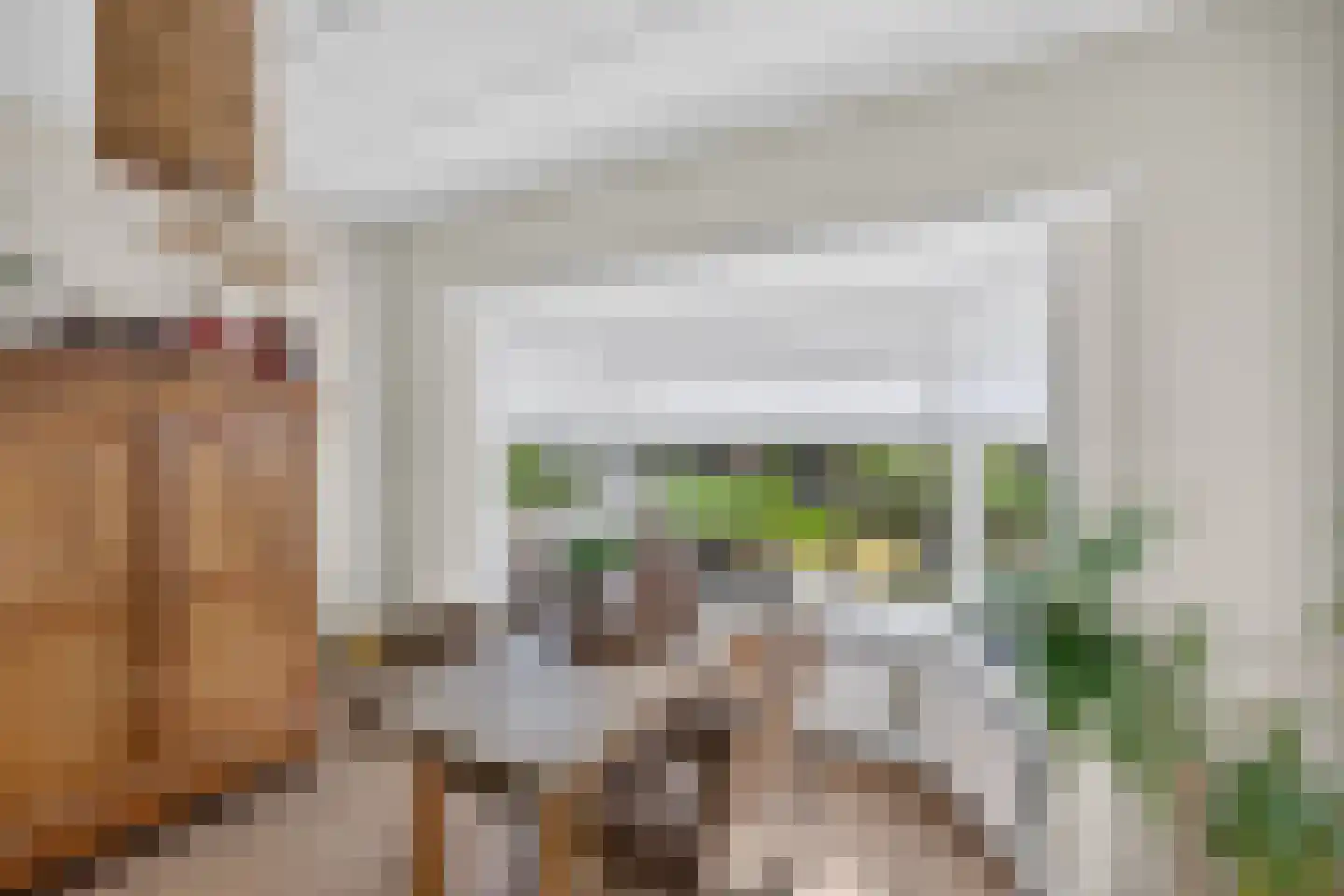 Boezemweg 4 Dirksland thumbnail 17