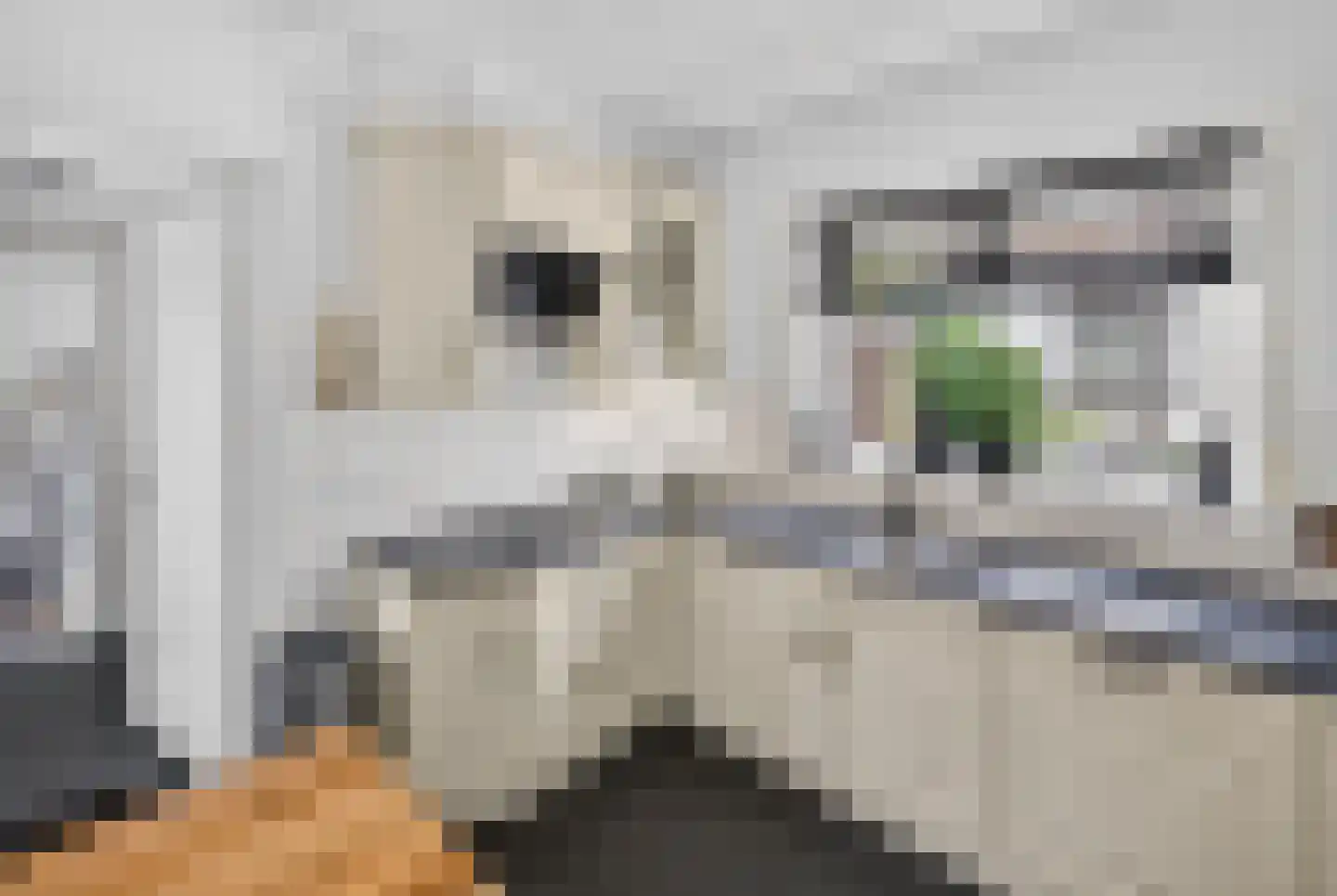 Boezemweg 4 Dirksland thumbnail 18
