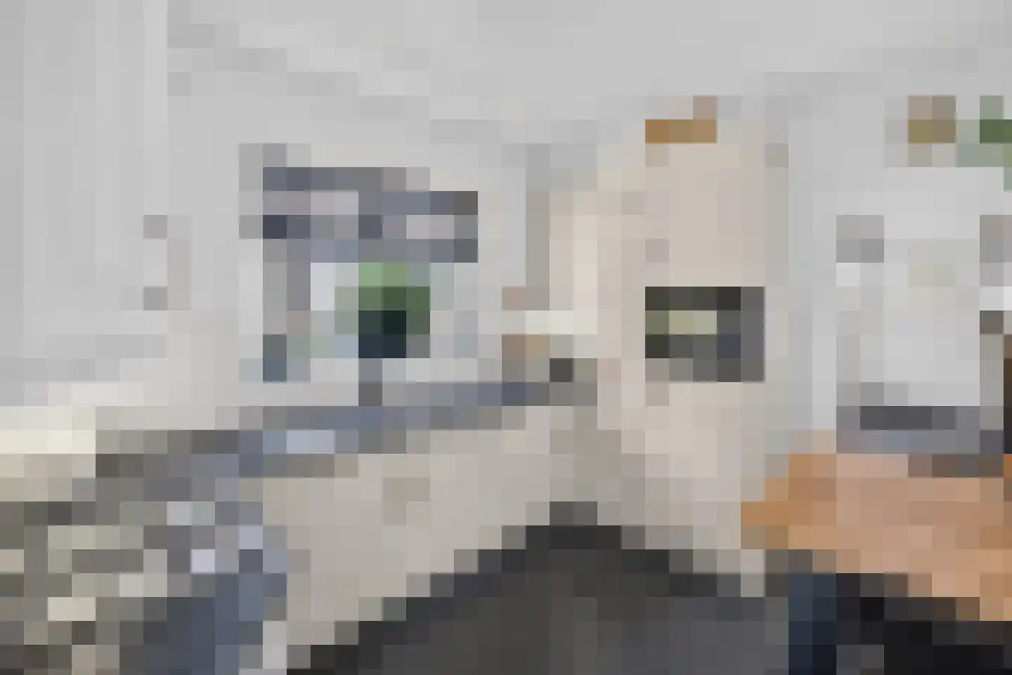 Boezemweg 4 Dirksland thumbnail 19