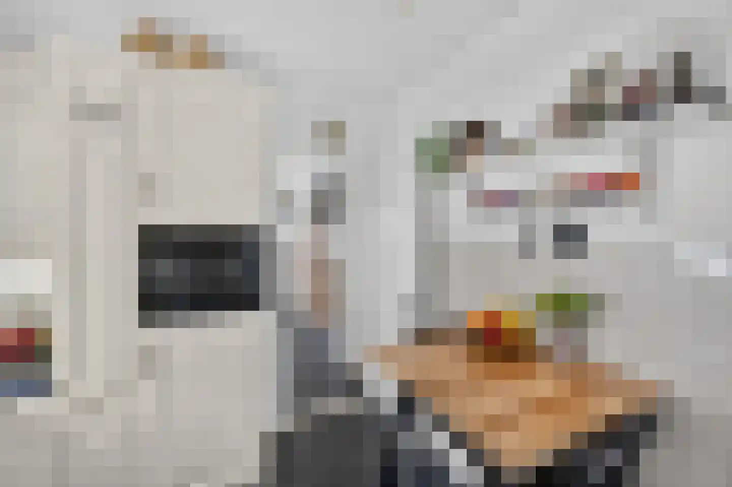 Boezemweg 4 Dirksland thumbnail 20