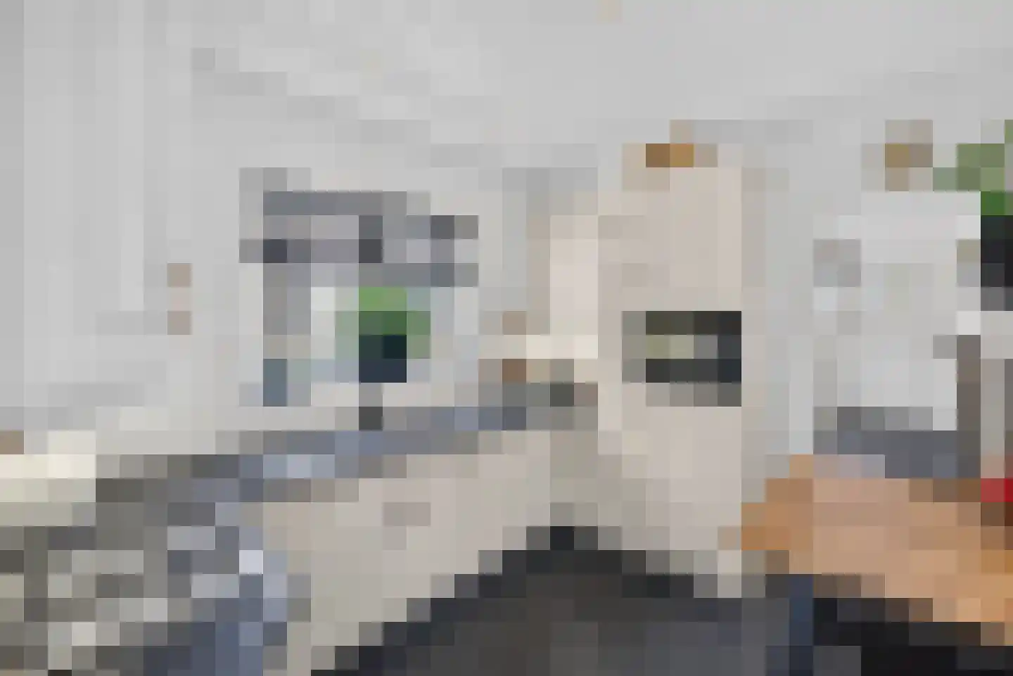 Boezemweg 4 Dirksland thumbnail 21