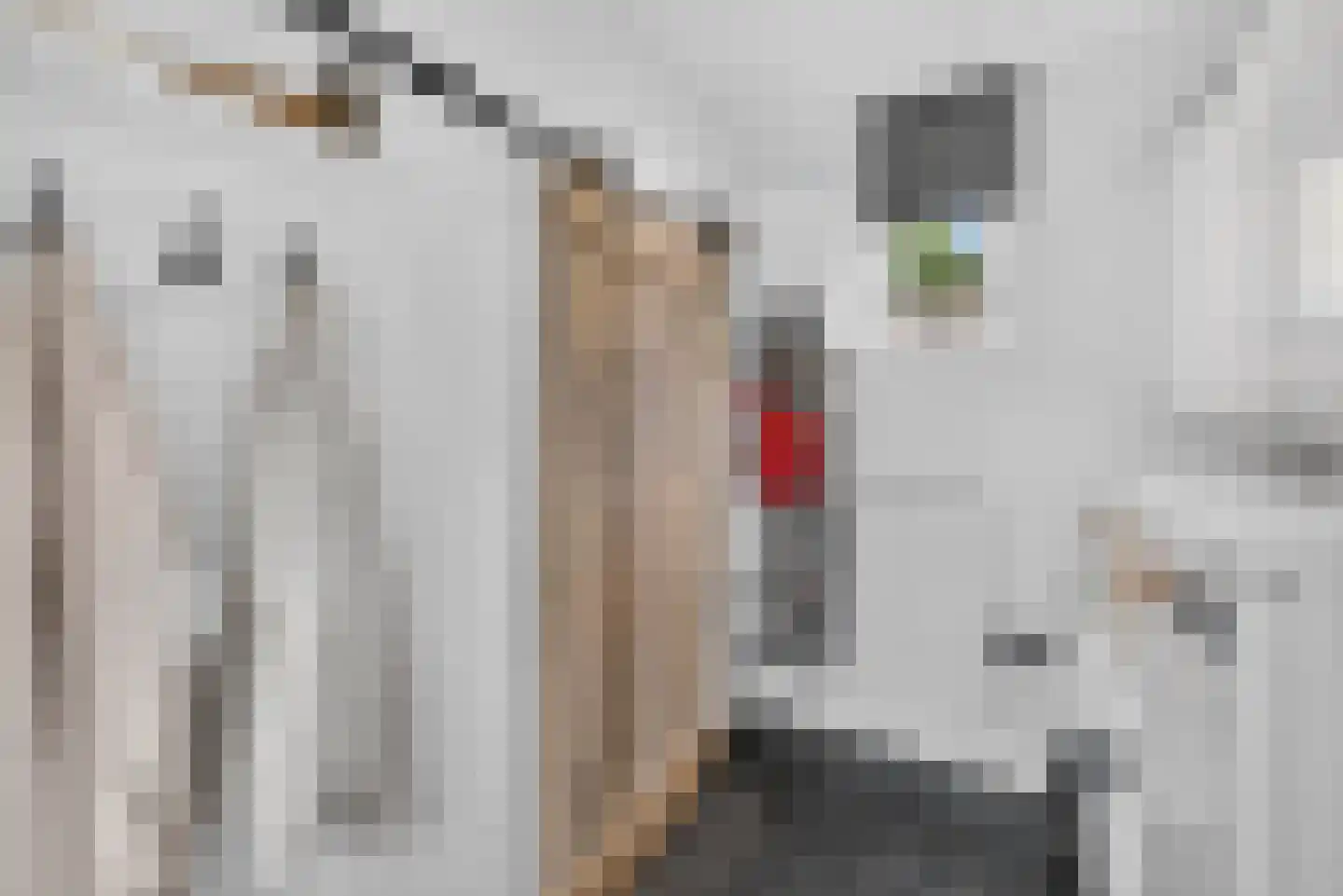 Boezemweg 4 Dirksland thumbnail 25