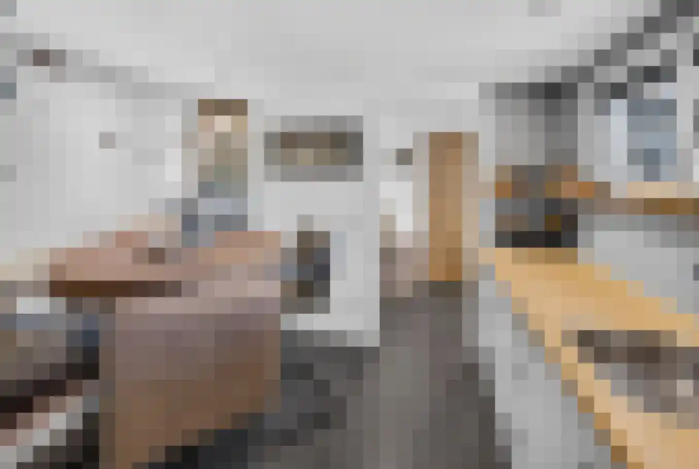 Boezemweg 4 Dirksland thumbnail 27