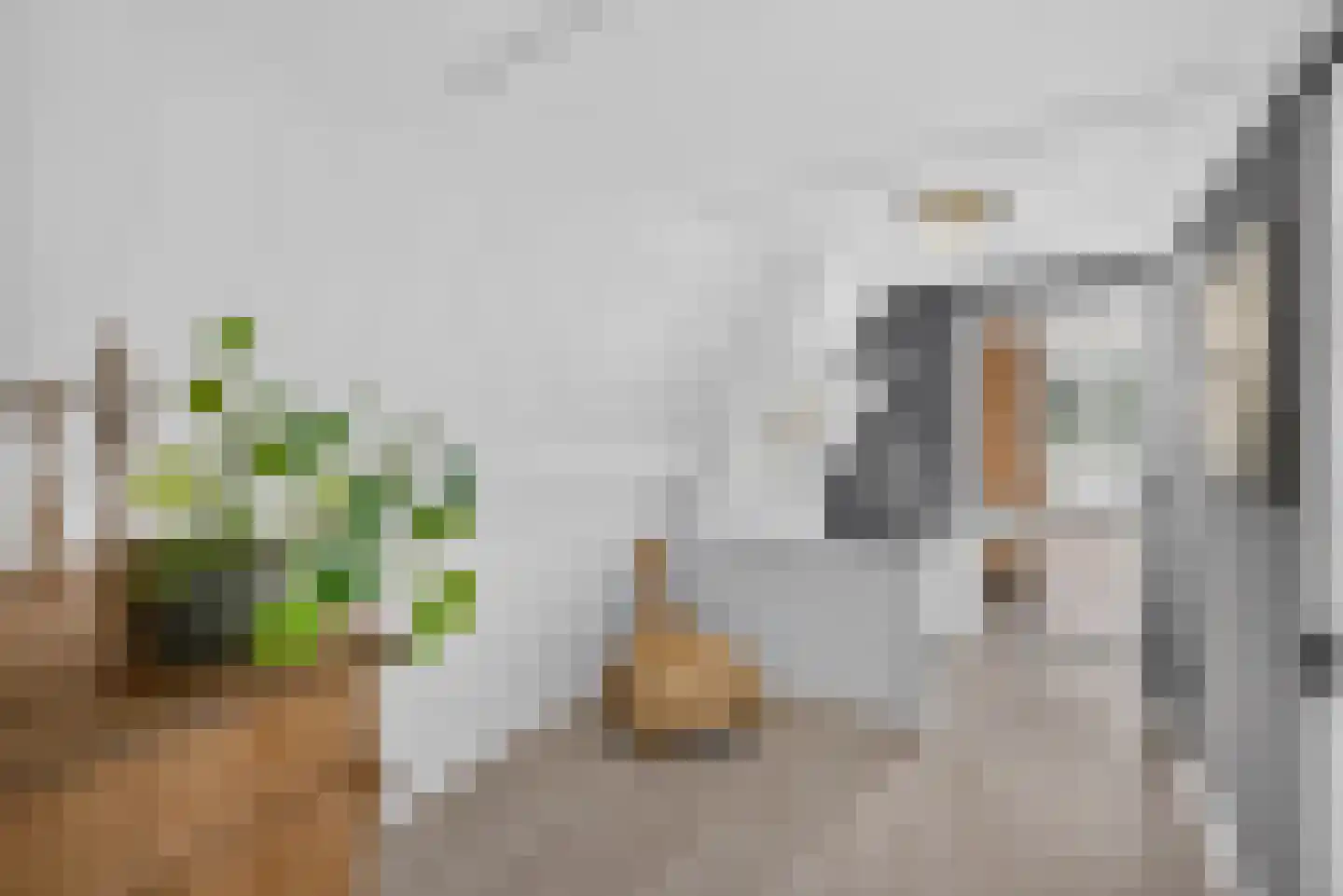 Boezemweg 4 Dirksland thumbnail 29