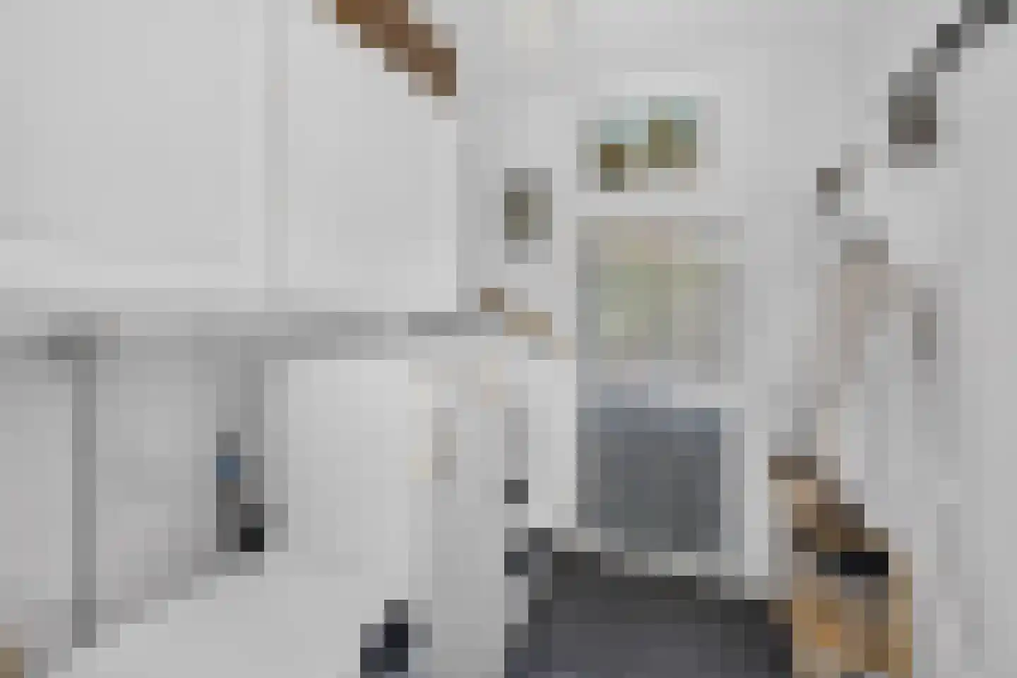Boezemweg 4 Dirksland thumbnail 30