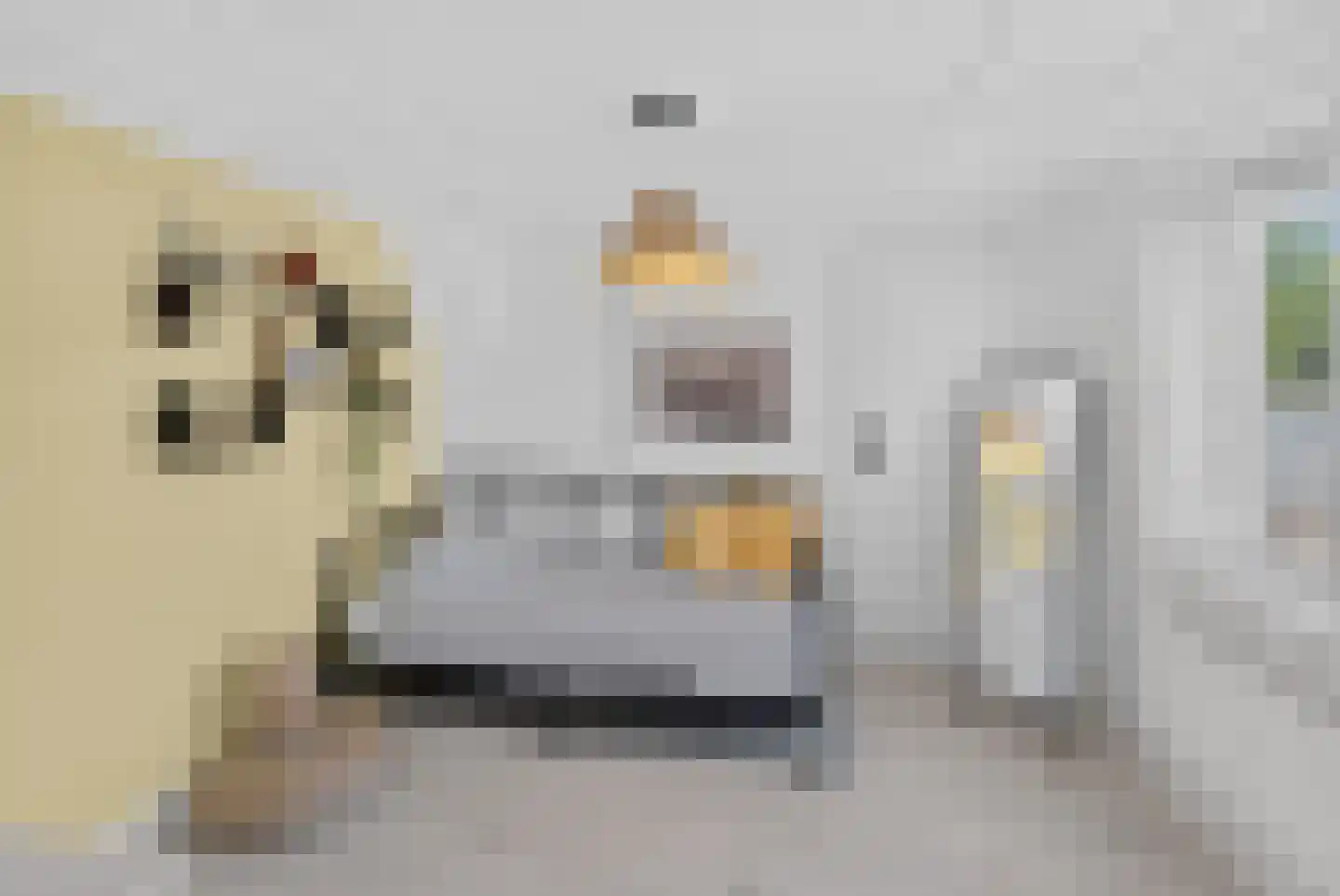 Boezemweg 4 Dirksland thumbnail 33