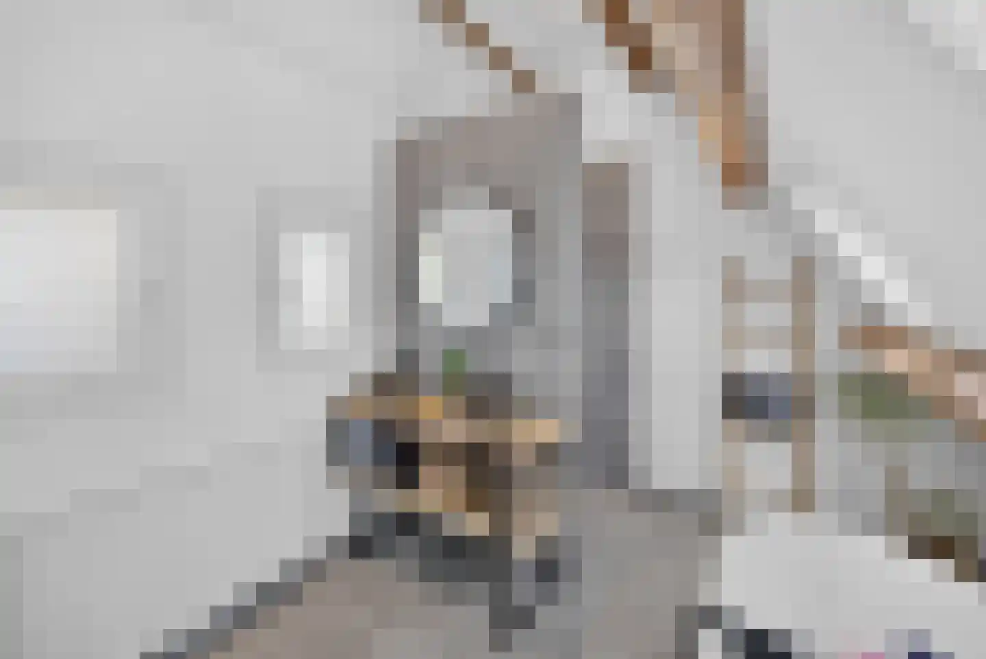 Boezemweg 4 Dirksland thumbnail 35