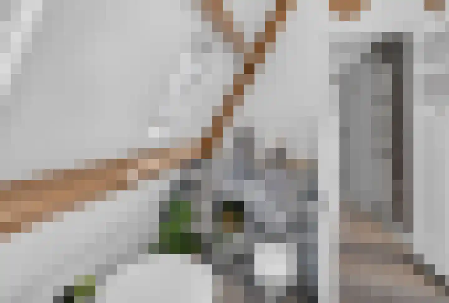 Boezemweg 4 Dirksland thumbnail 36