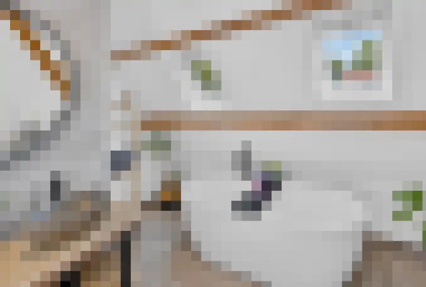 Boezemweg 4 Dirksland thumbnail 4
