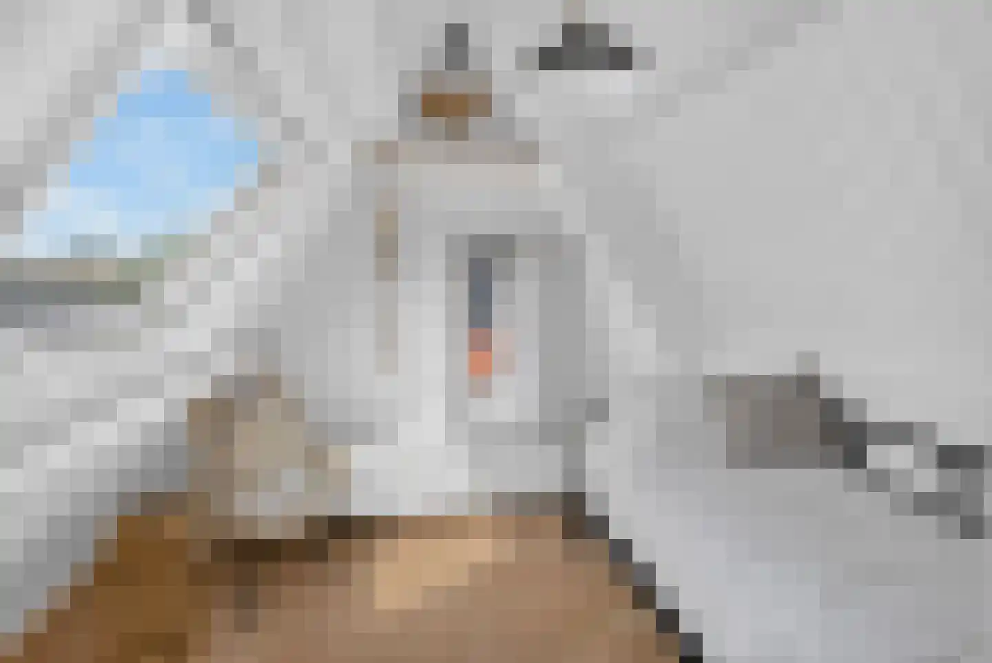 Boezemweg 4 Dirksland thumbnail 42