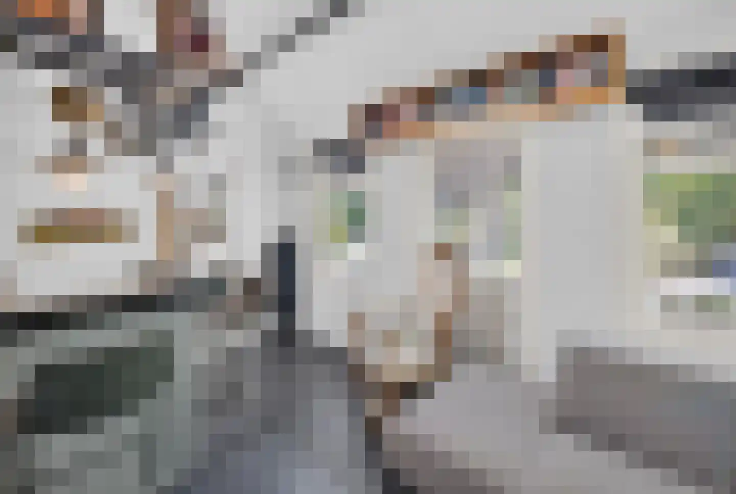 Boezemweg 4 Dirksland thumbnail 44