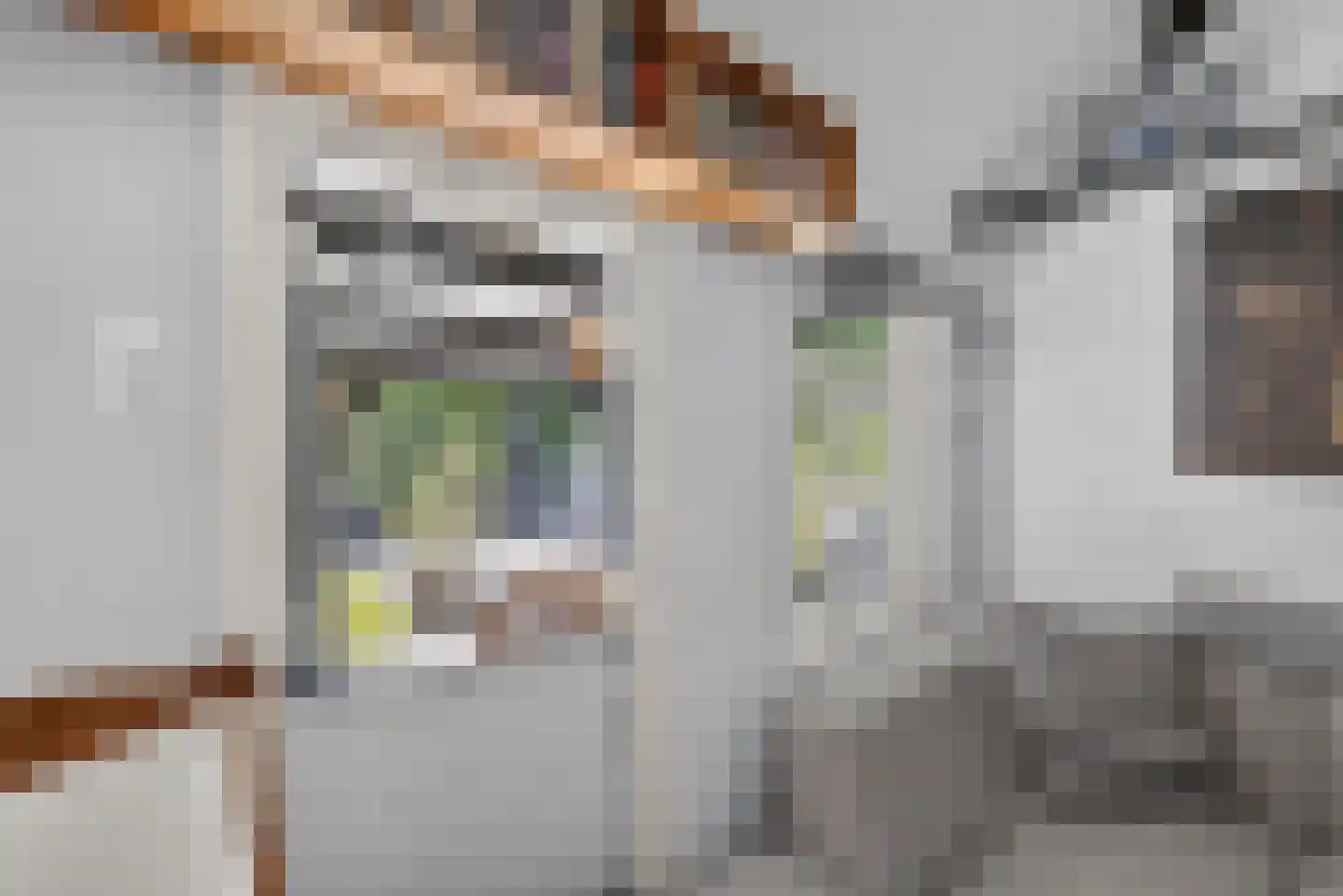 Boezemweg 4 Dirksland thumbnail 45