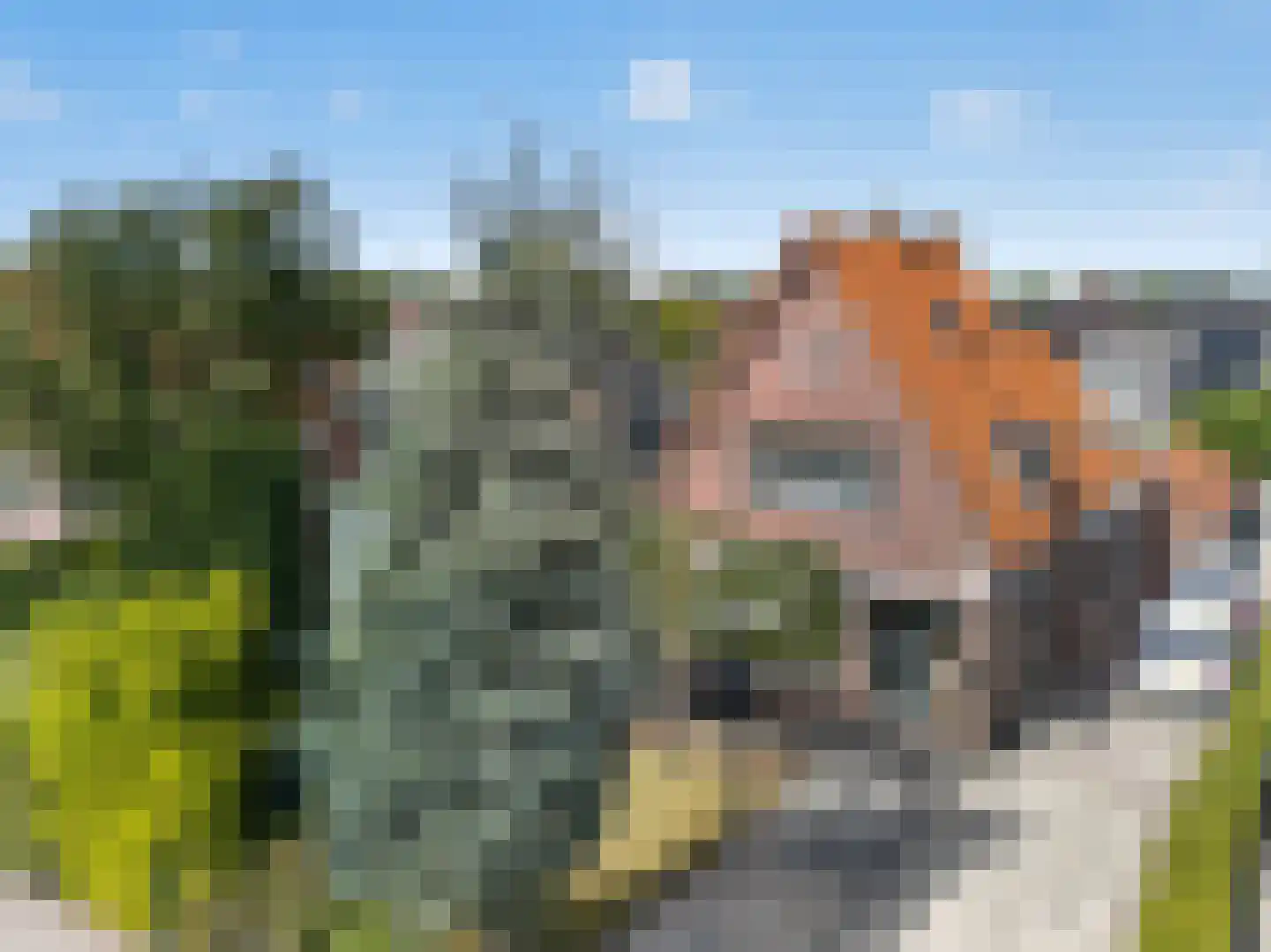 Boezemweg 4 Dirksland thumbnail 58