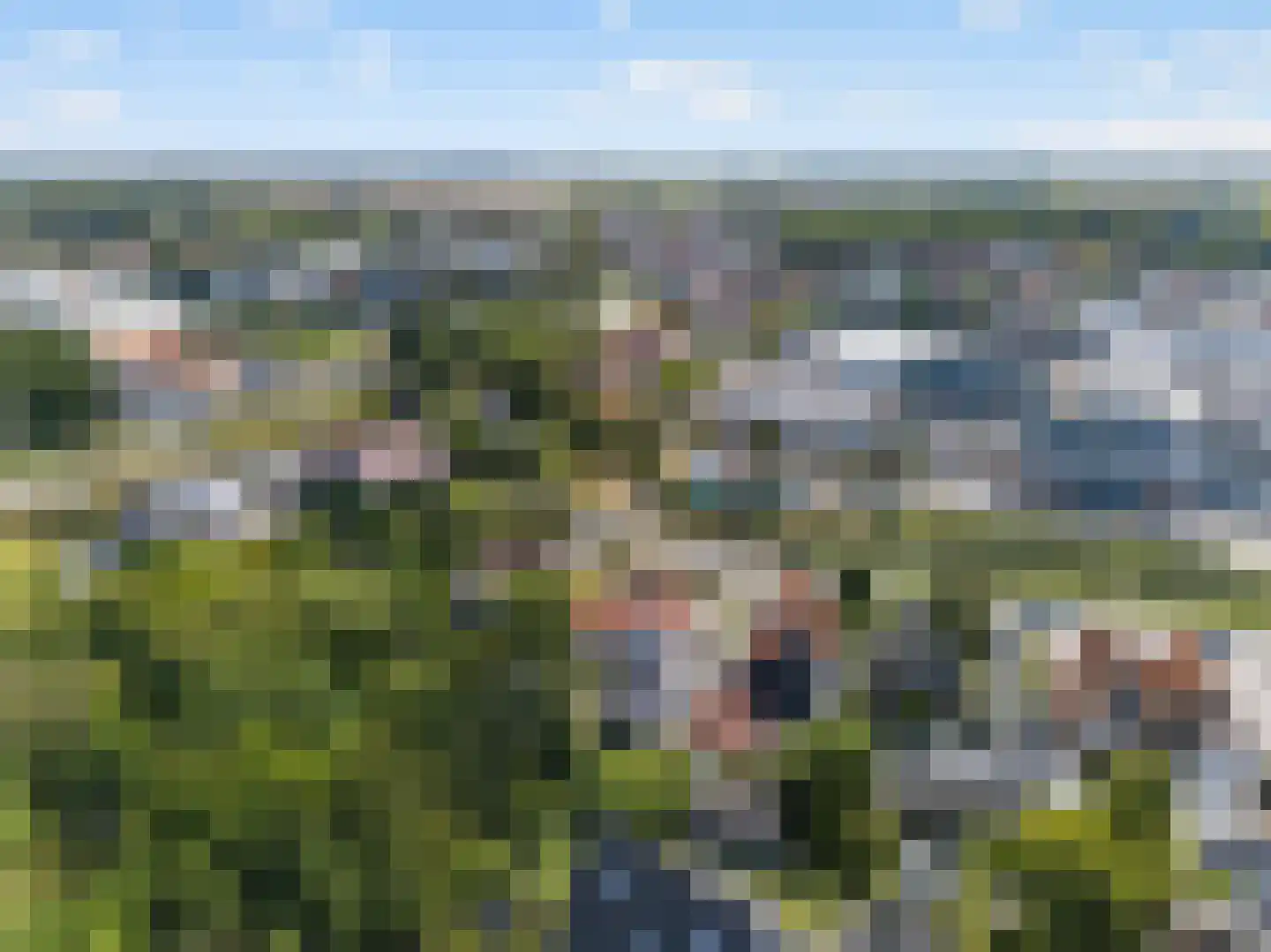 Boezemweg 4 Dirksland thumbnail 60