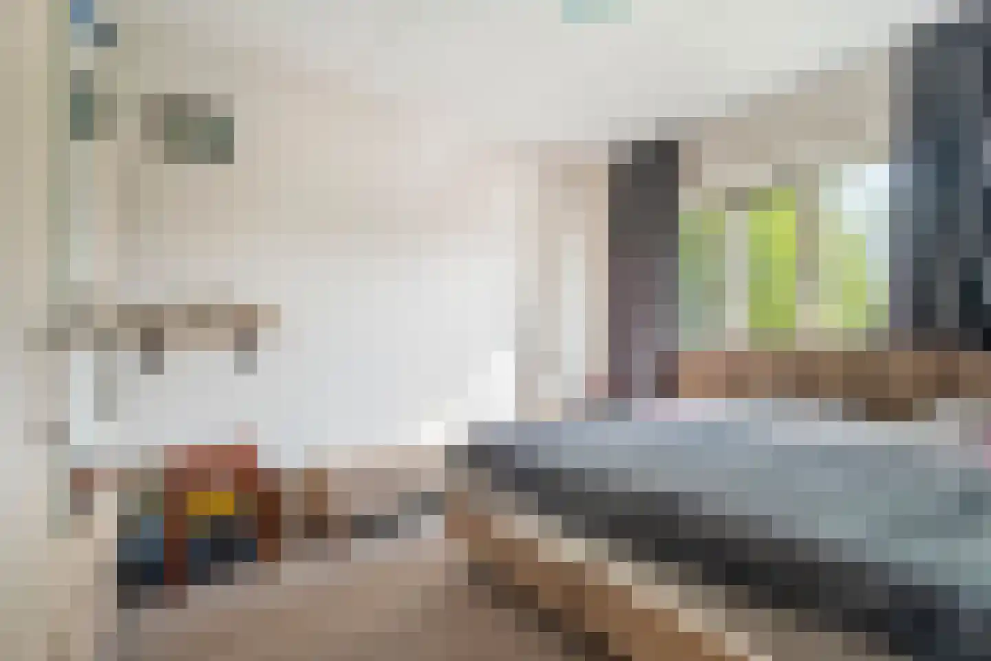 Boezeroen 2 Hulshorst thumbnail 18