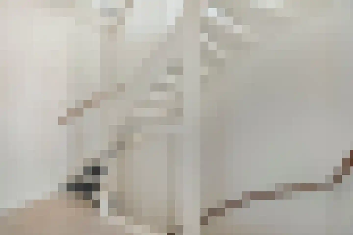 Boezeroen 2 Hulshorst thumbnail 25