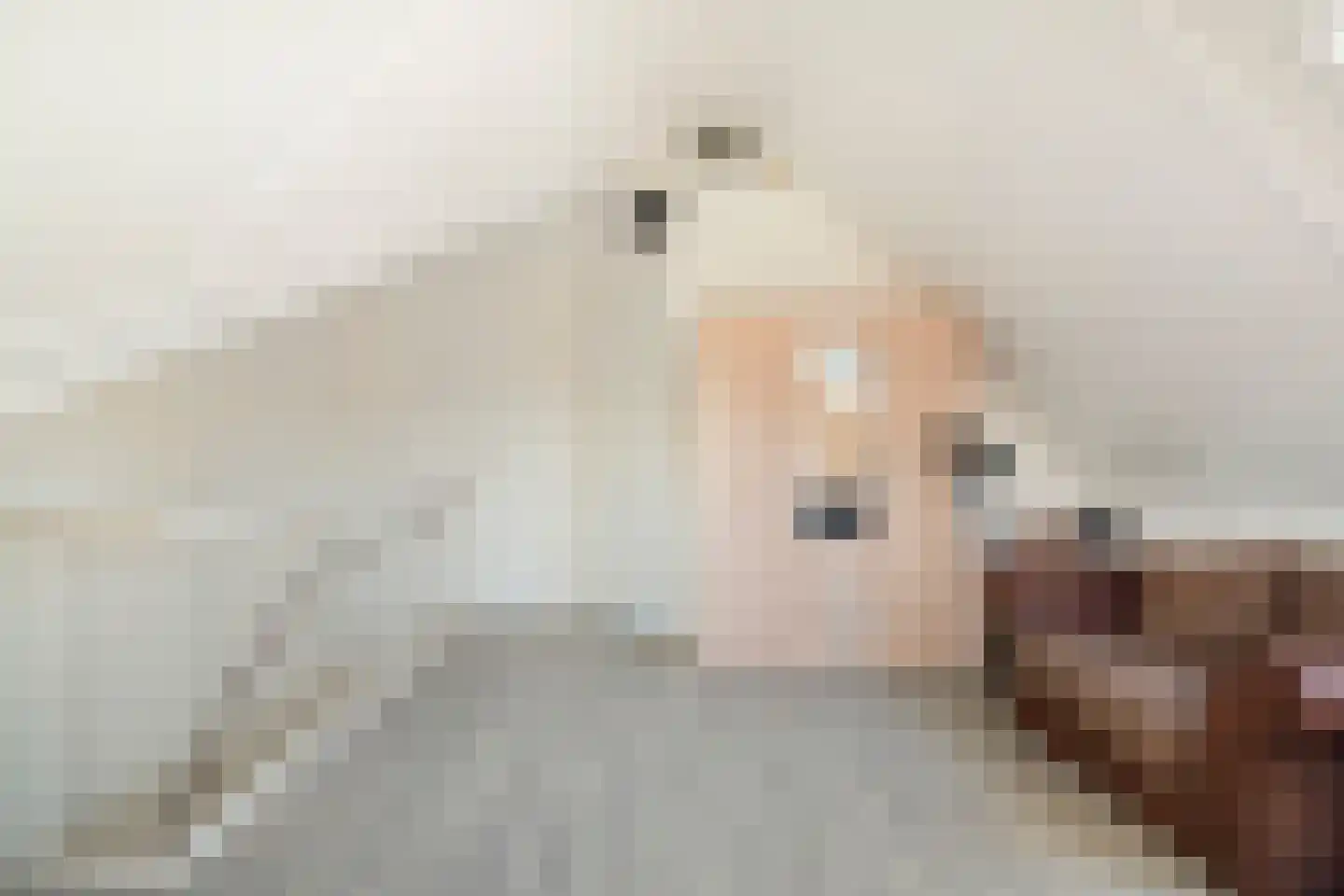Boezeroen 2 Hulshorst thumbnail 29