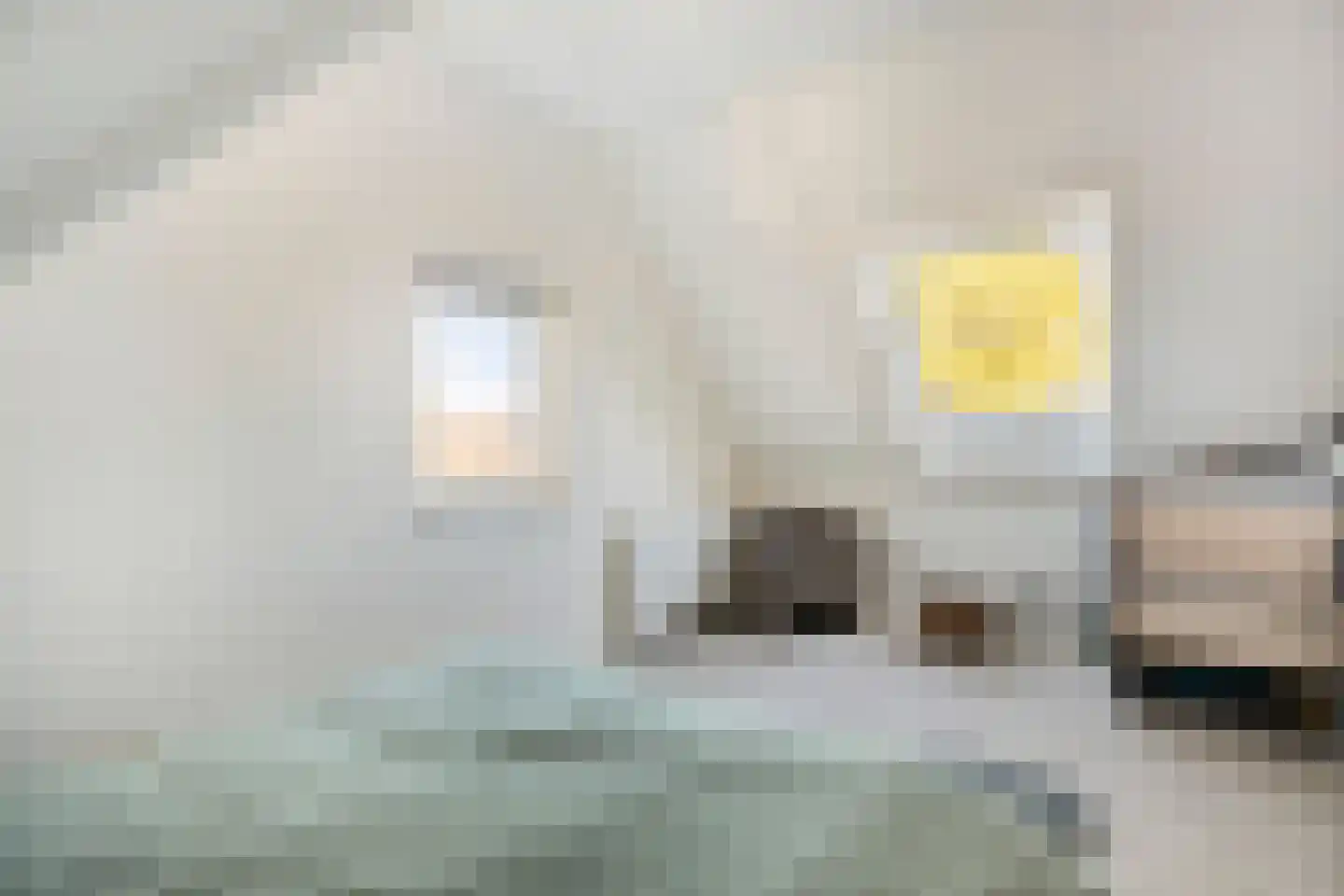 Boezeroen 2 Hulshorst thumbnail 31
